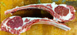 Kosher Lamb Chops