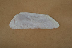 Turkey Cutlets