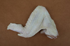 Turkey Wing